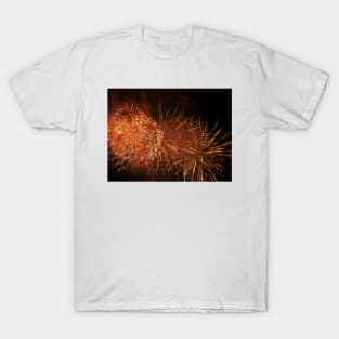 Independence Day Fireworks 3 T-Shirt